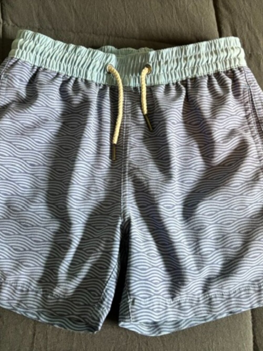 Fair Harbor Blue Wave Lined Swim Trunks Youth Small